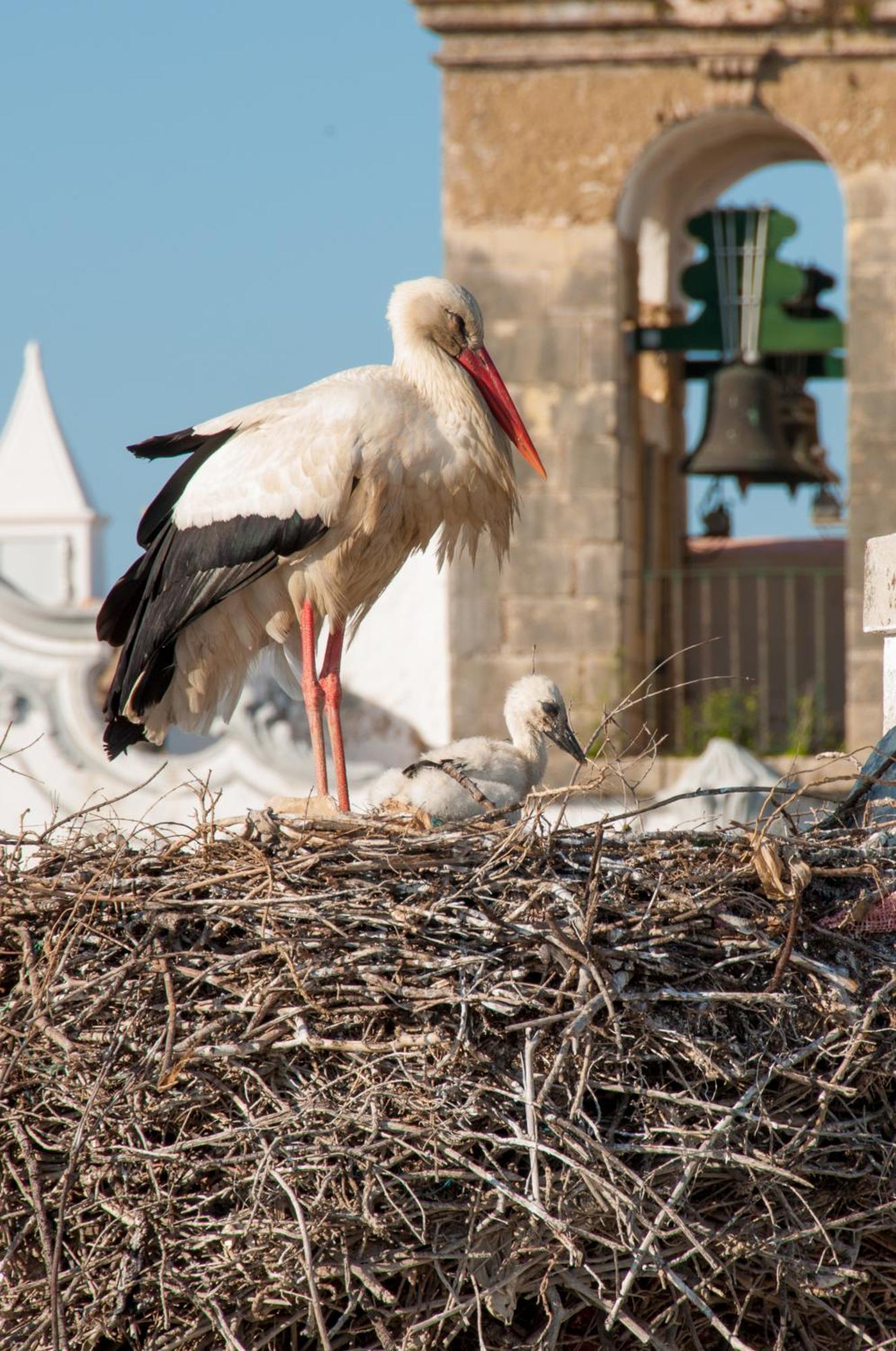 Hostal Stork Olhão